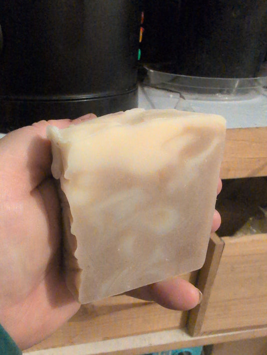 *New* Shampoo & Conditioner Bars w/Aloe
